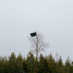 Taistelu elintilasta